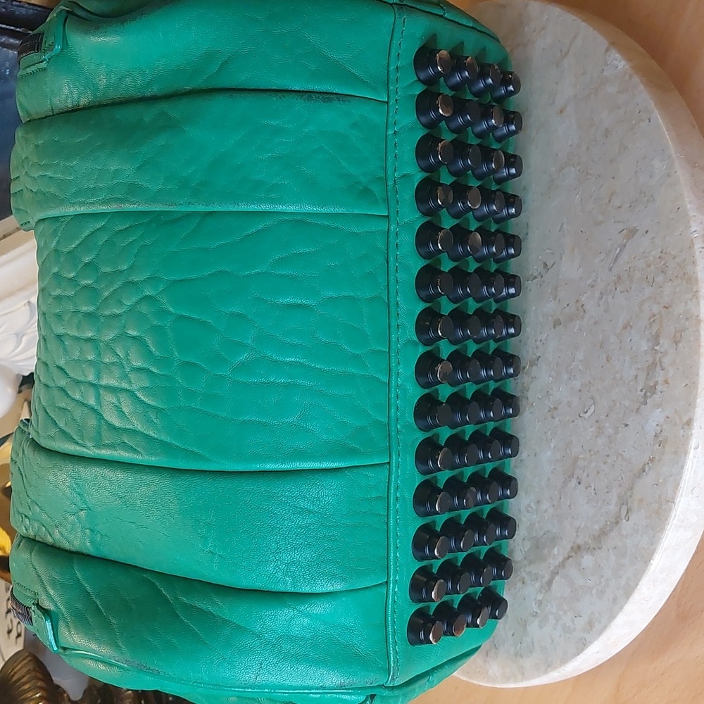 Alexander WANG ROCKIE 💚 rare Embossed Lambskin In Kelly Green Crossbody - Picture 12 of 13